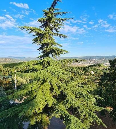 Apartment Sunny View Ancarano Esterno foto