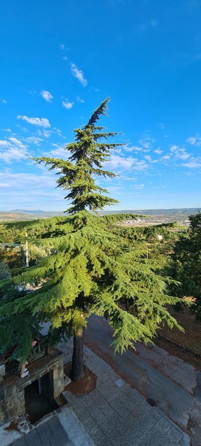 Apartment Sunny View Ancarano Esterno foto